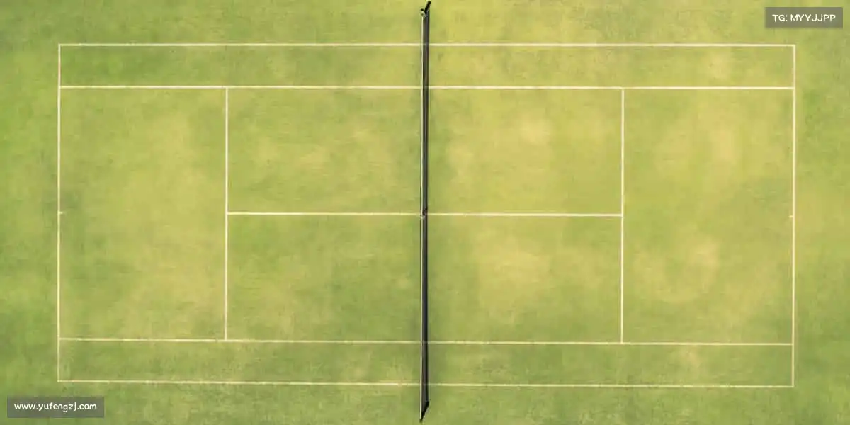 米兰官网运动不止，热爱不息，你的主场由你定义！🏀